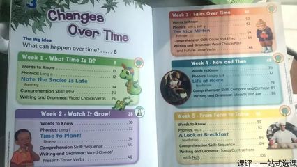 武漢在線英語課希望之星在線課程,BlingABC新東方青少兒直播英語語感課程